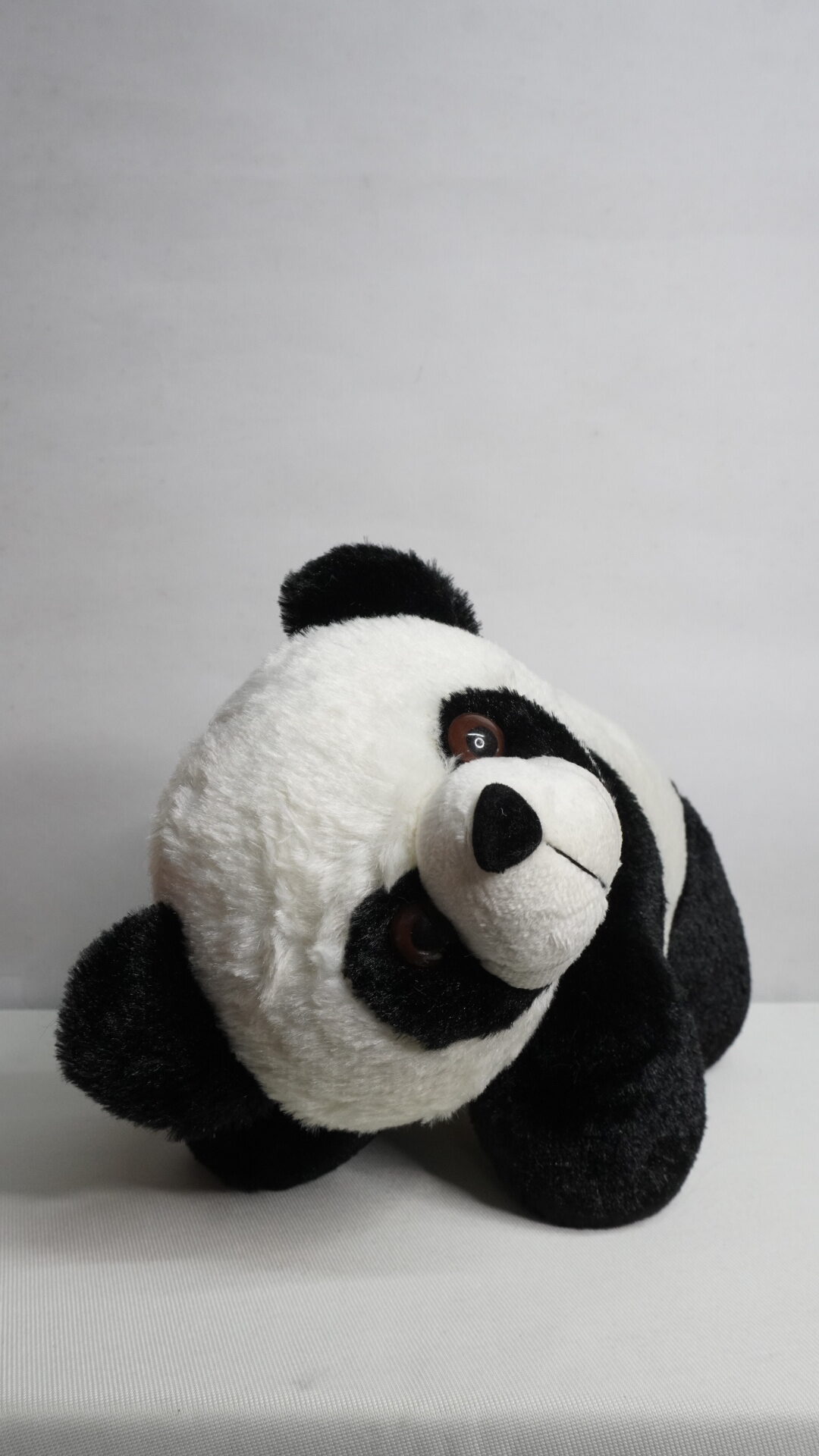 Standing Panda - Image 4