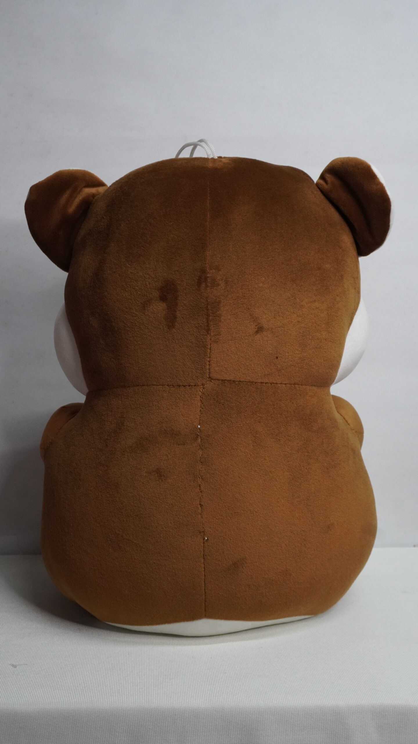 Infant Teddy - Image 4