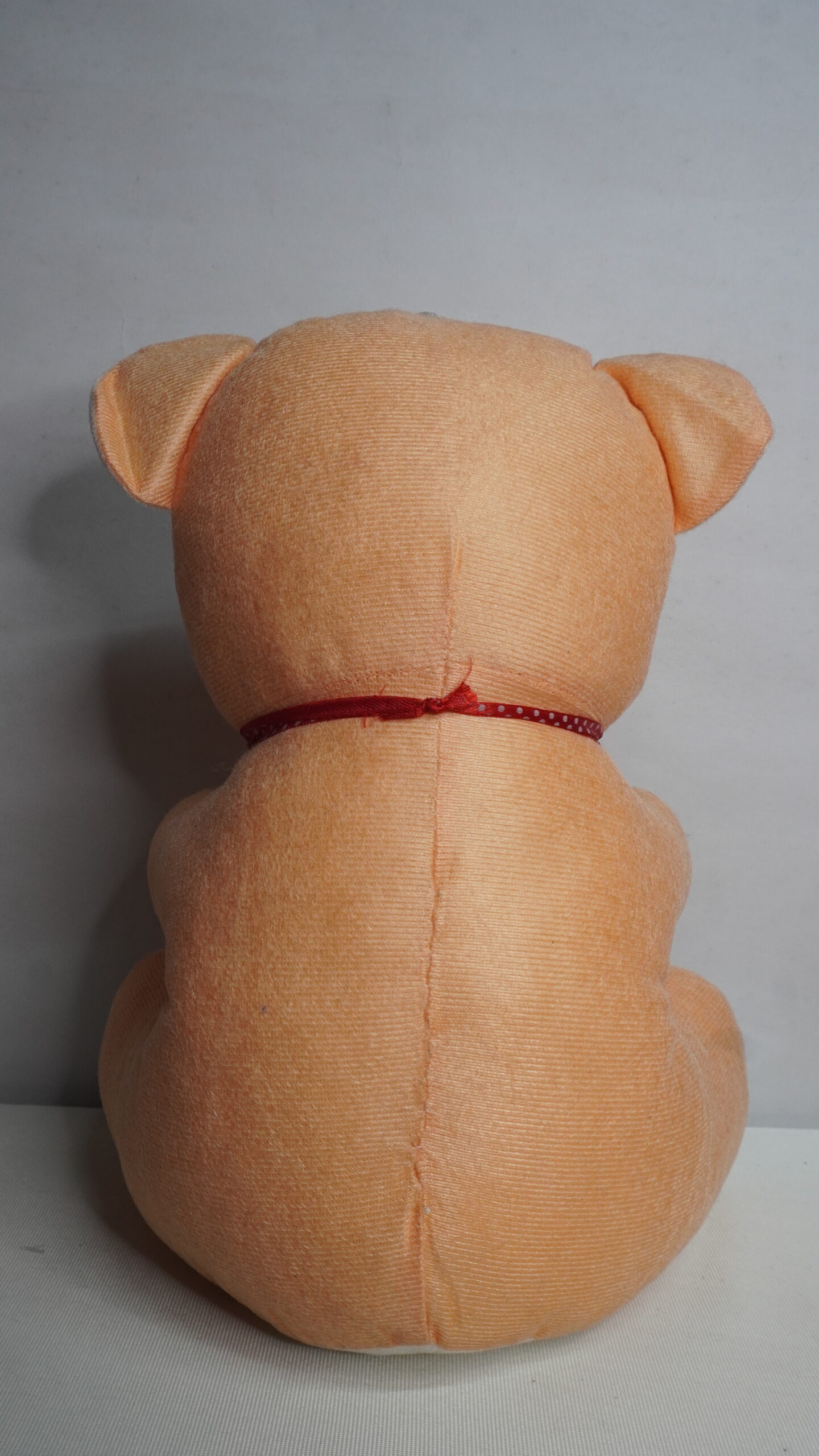 Molu Dil Teddy - Image 5