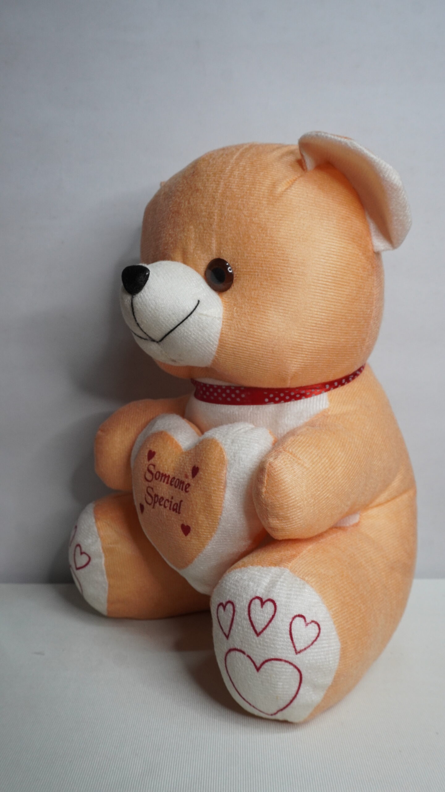 Molu Dil Teddy - Image 4