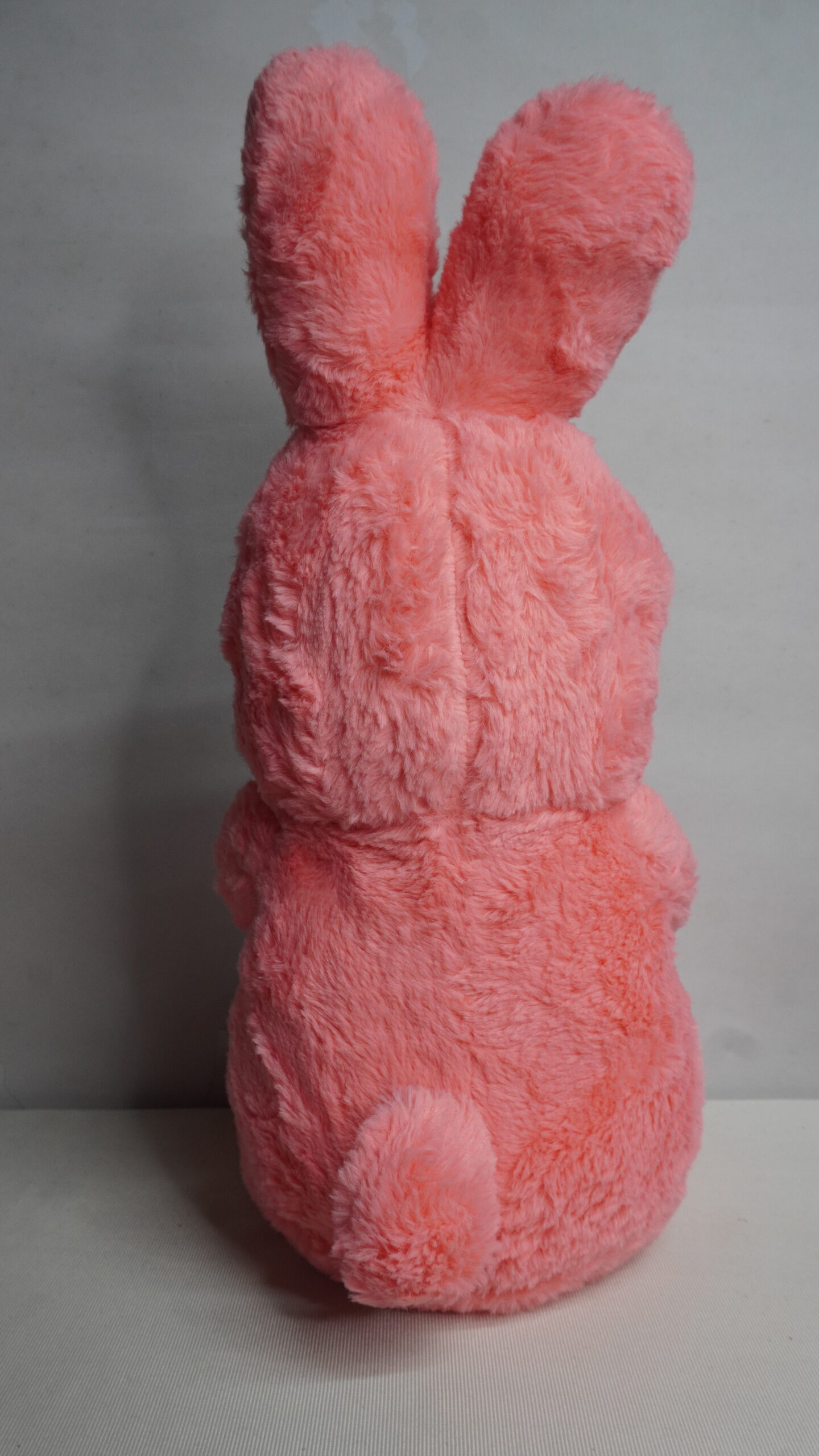 Strawberry Rabbit - Image 5